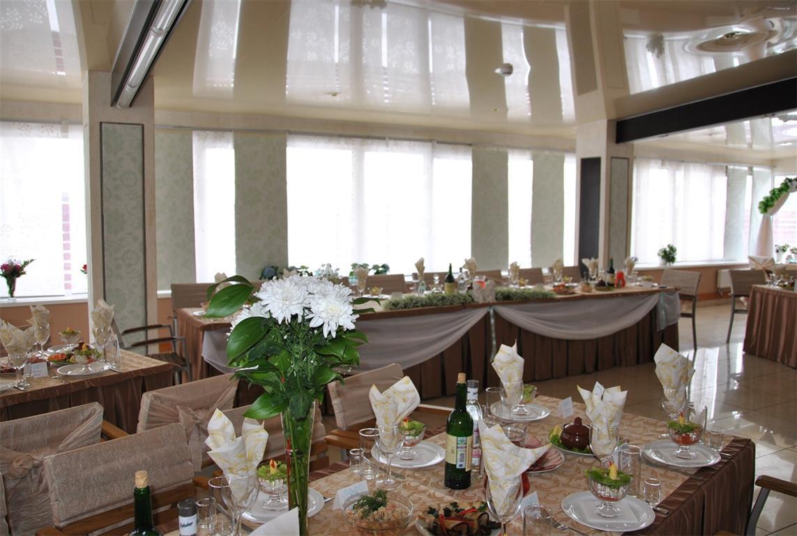 Фото Альбатрос