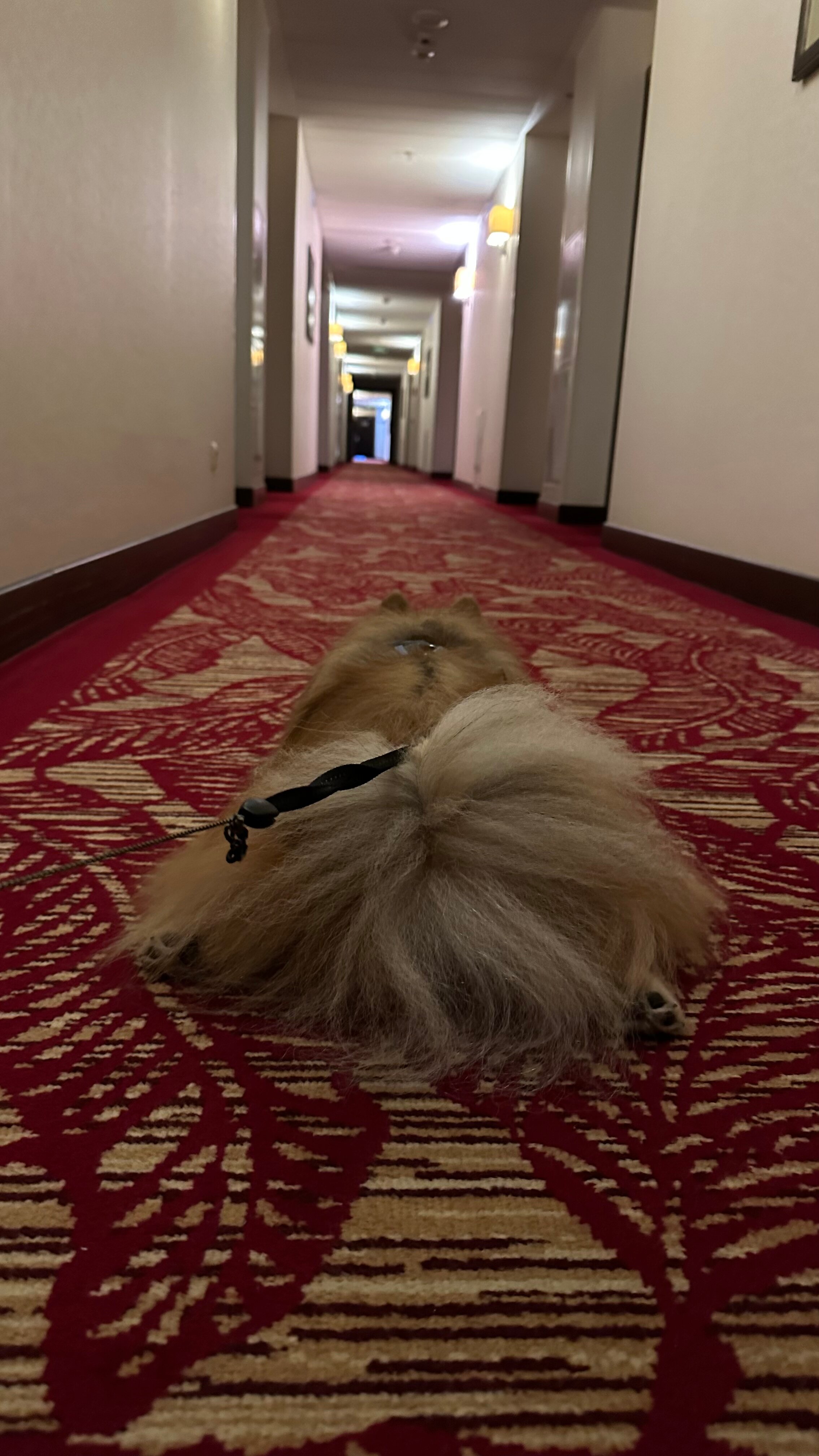 Фото Cort Inn Kazan Kremlin