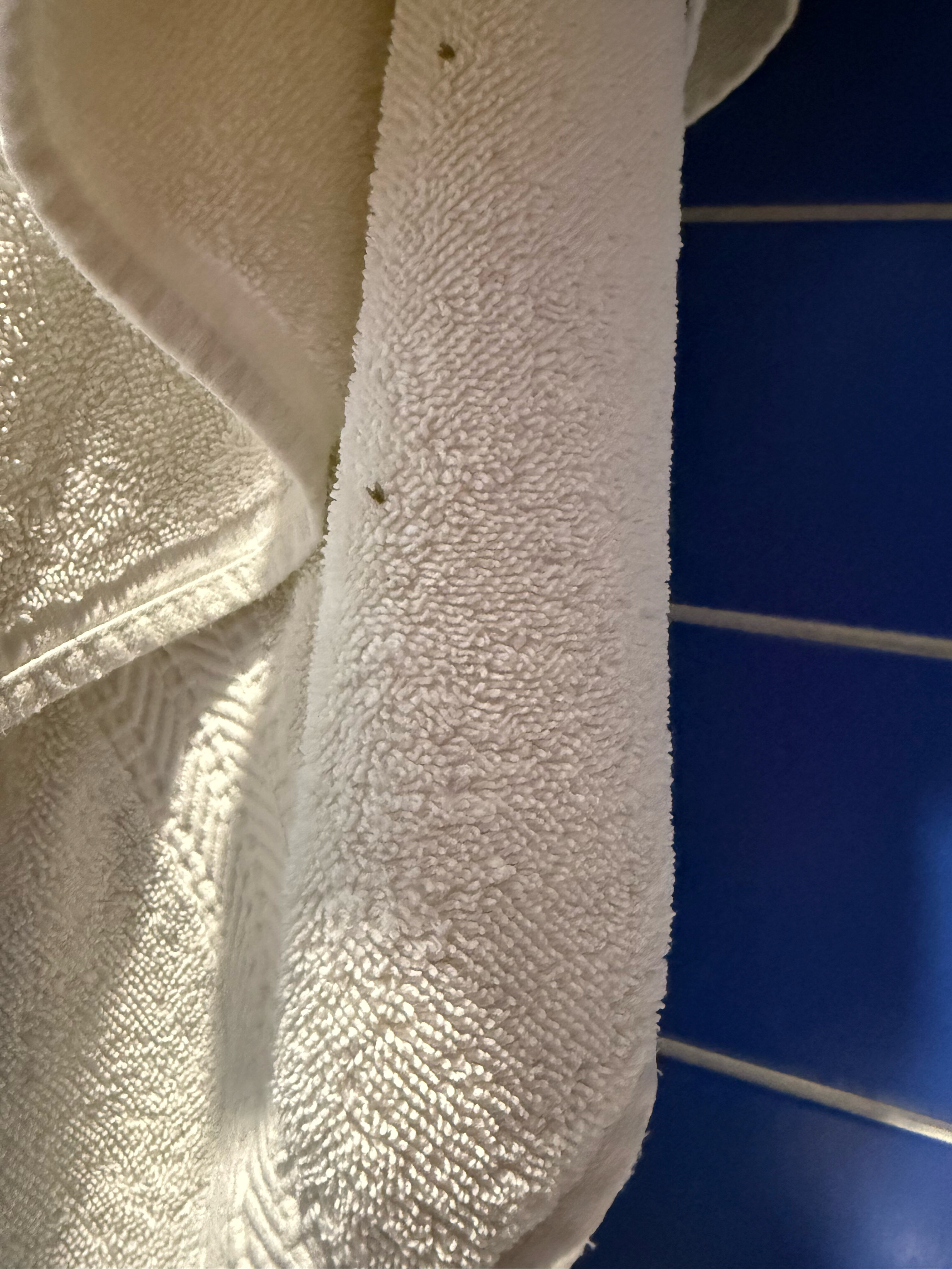 Фото Таласса