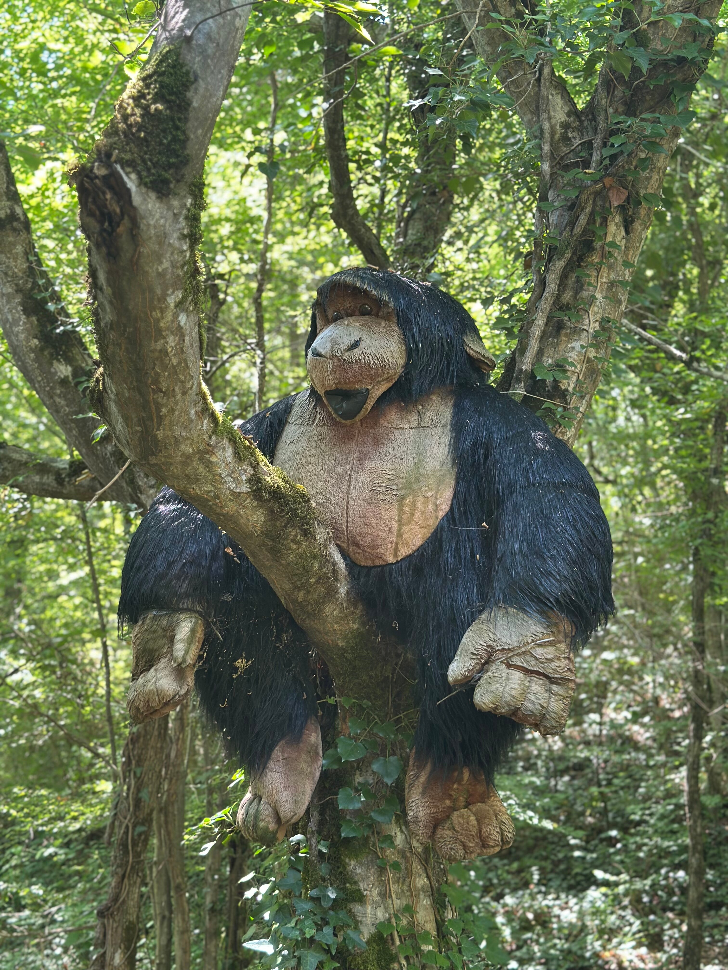 Фото Лесной домик Ель