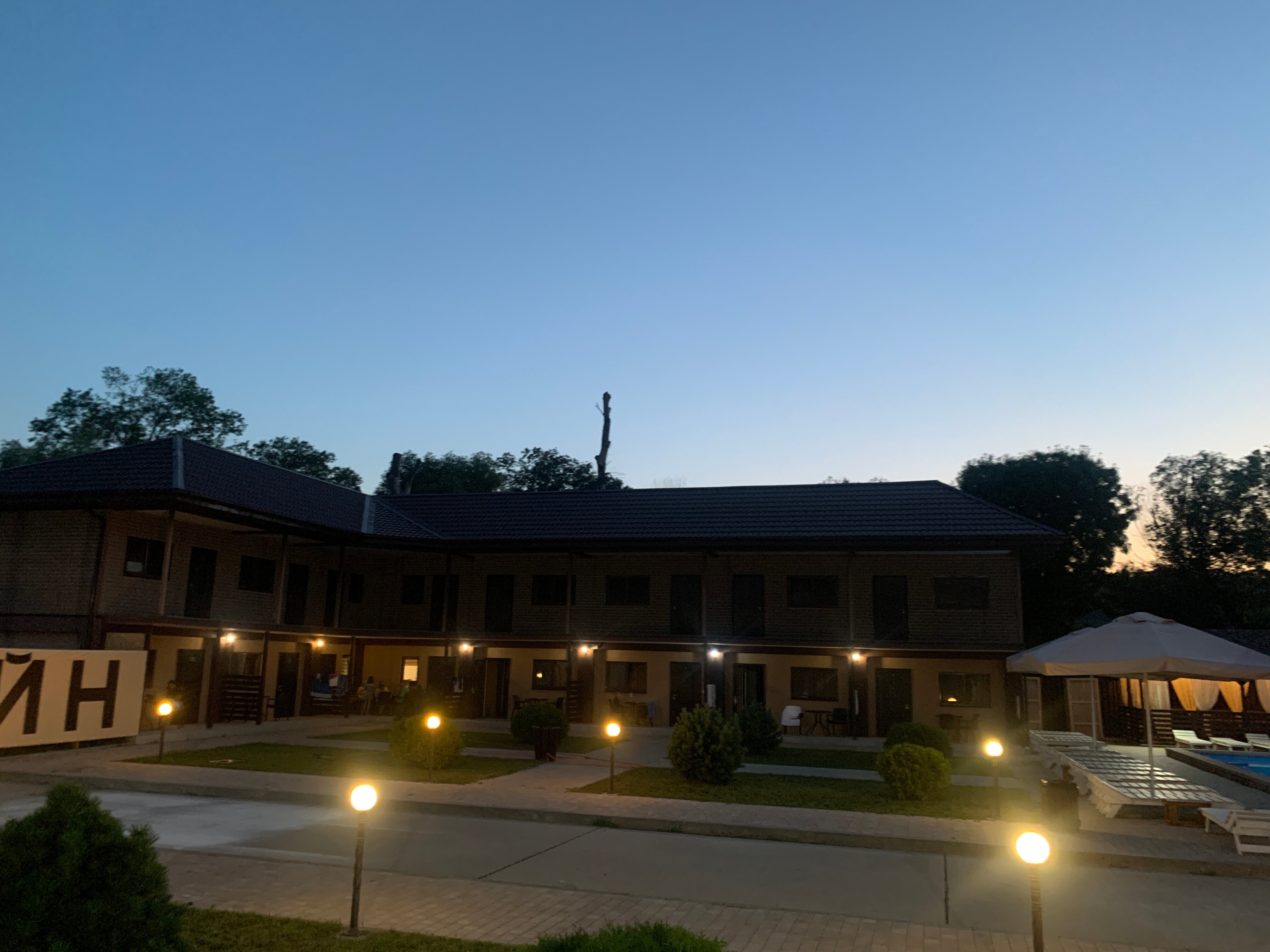 Фото Кипарис