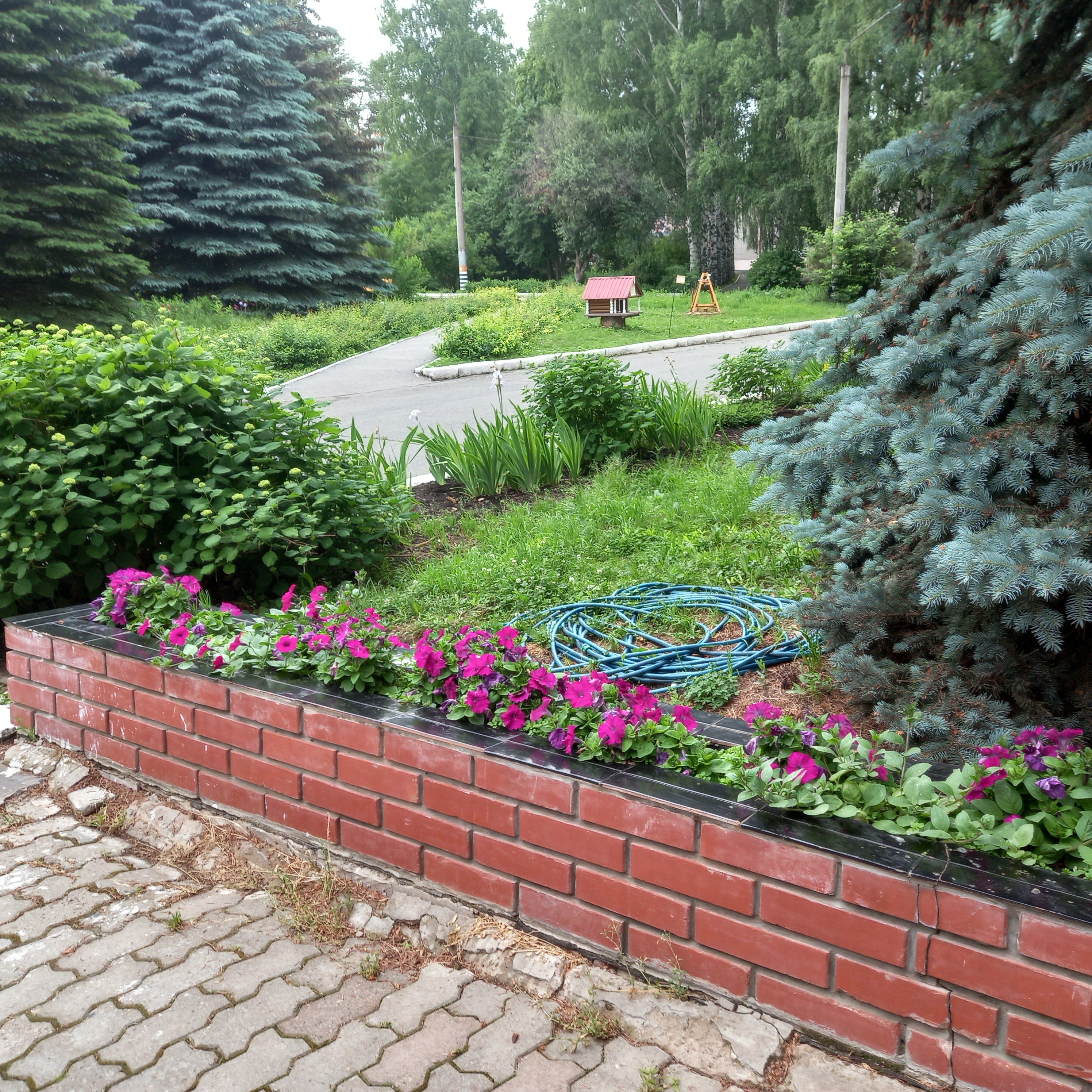 Фото Металлург