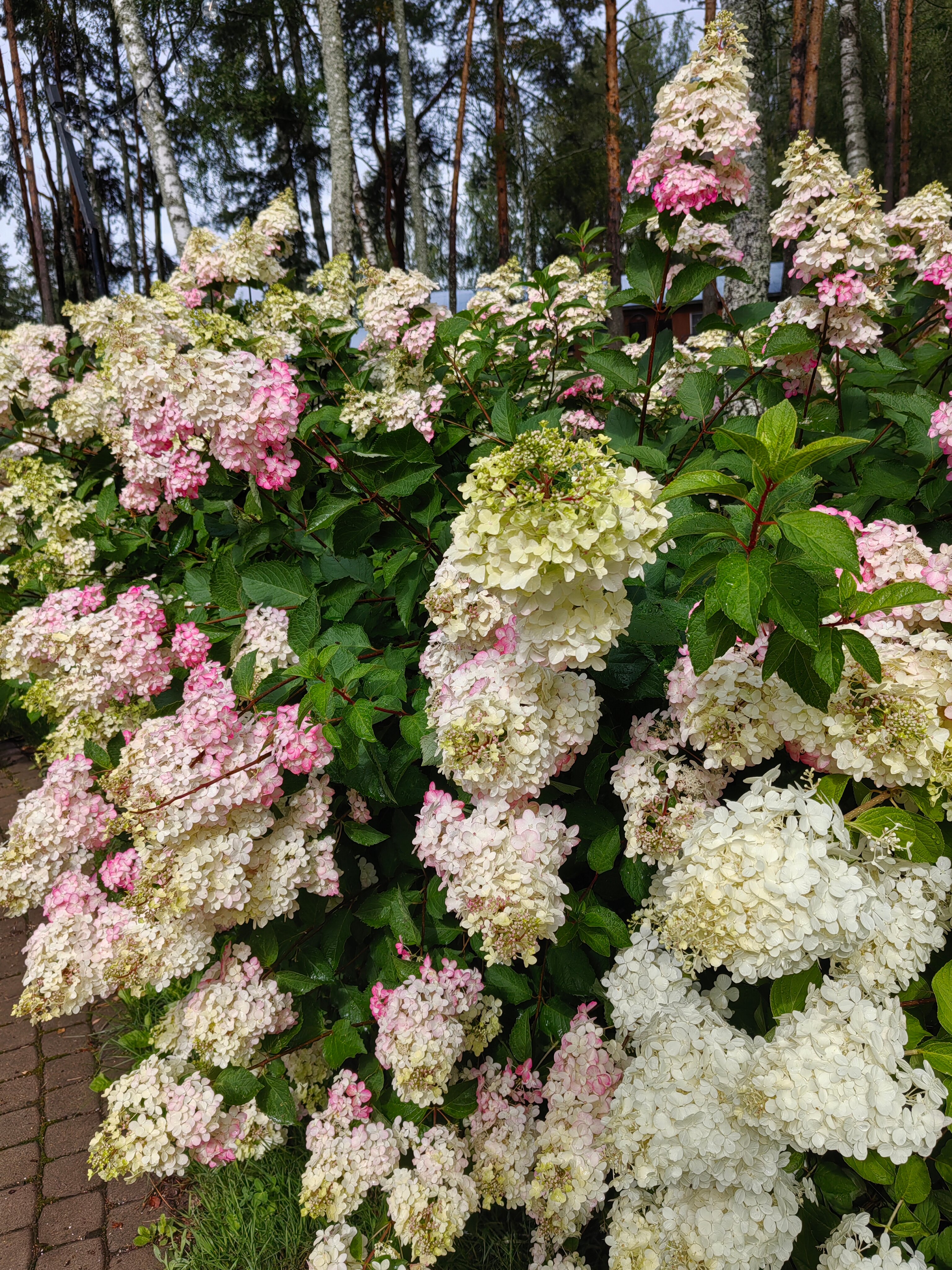 Фото Эковилладж