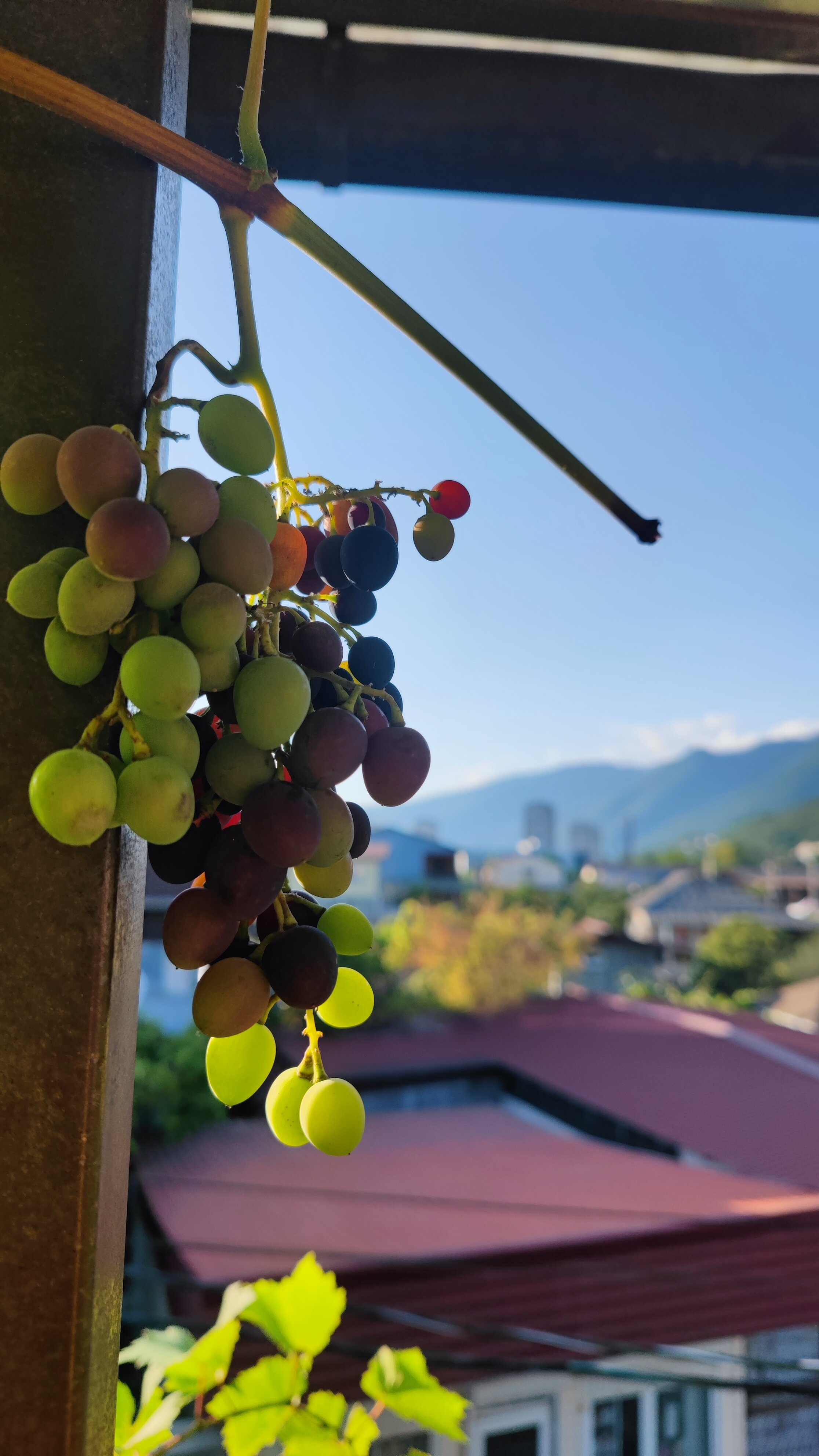 Фото Гостевой дом у Руслана