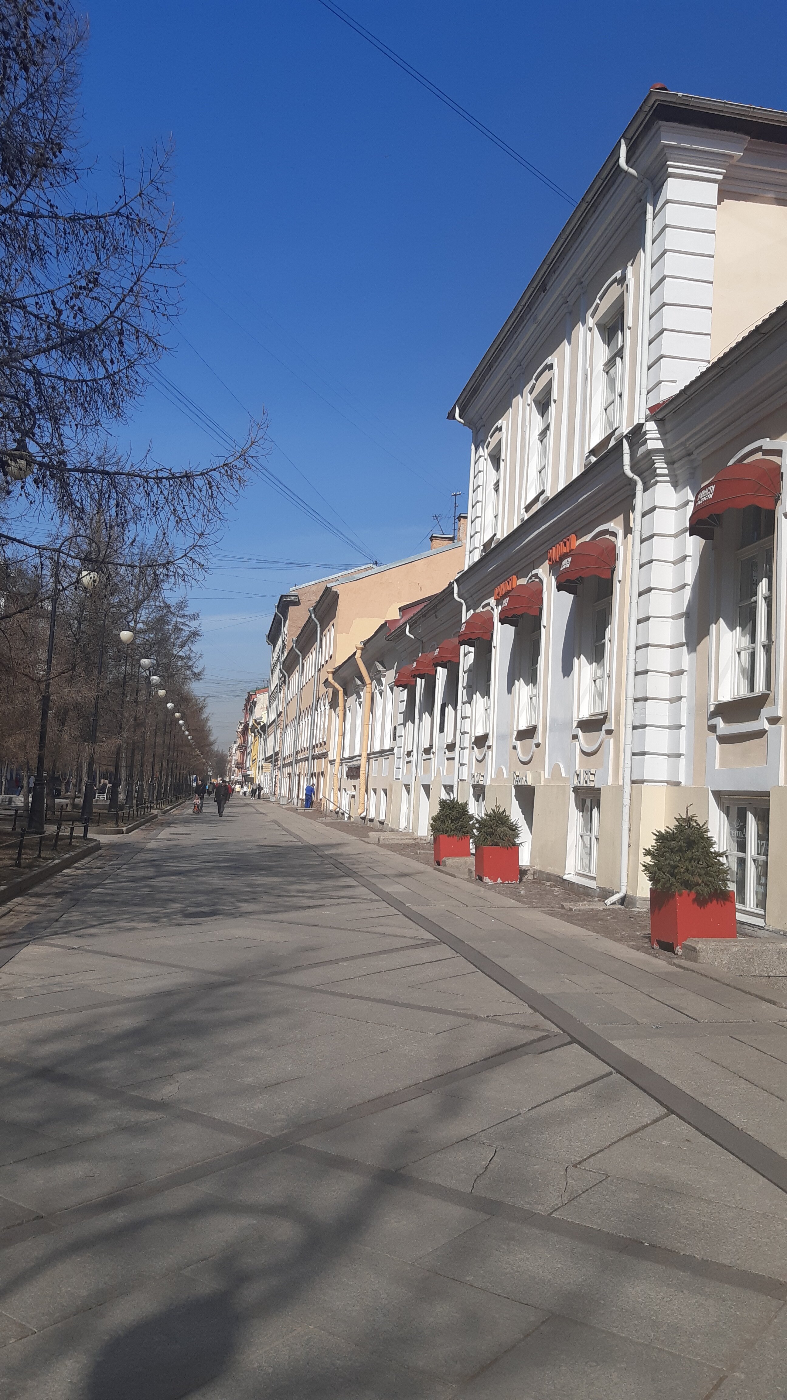 Фото Рапсодия