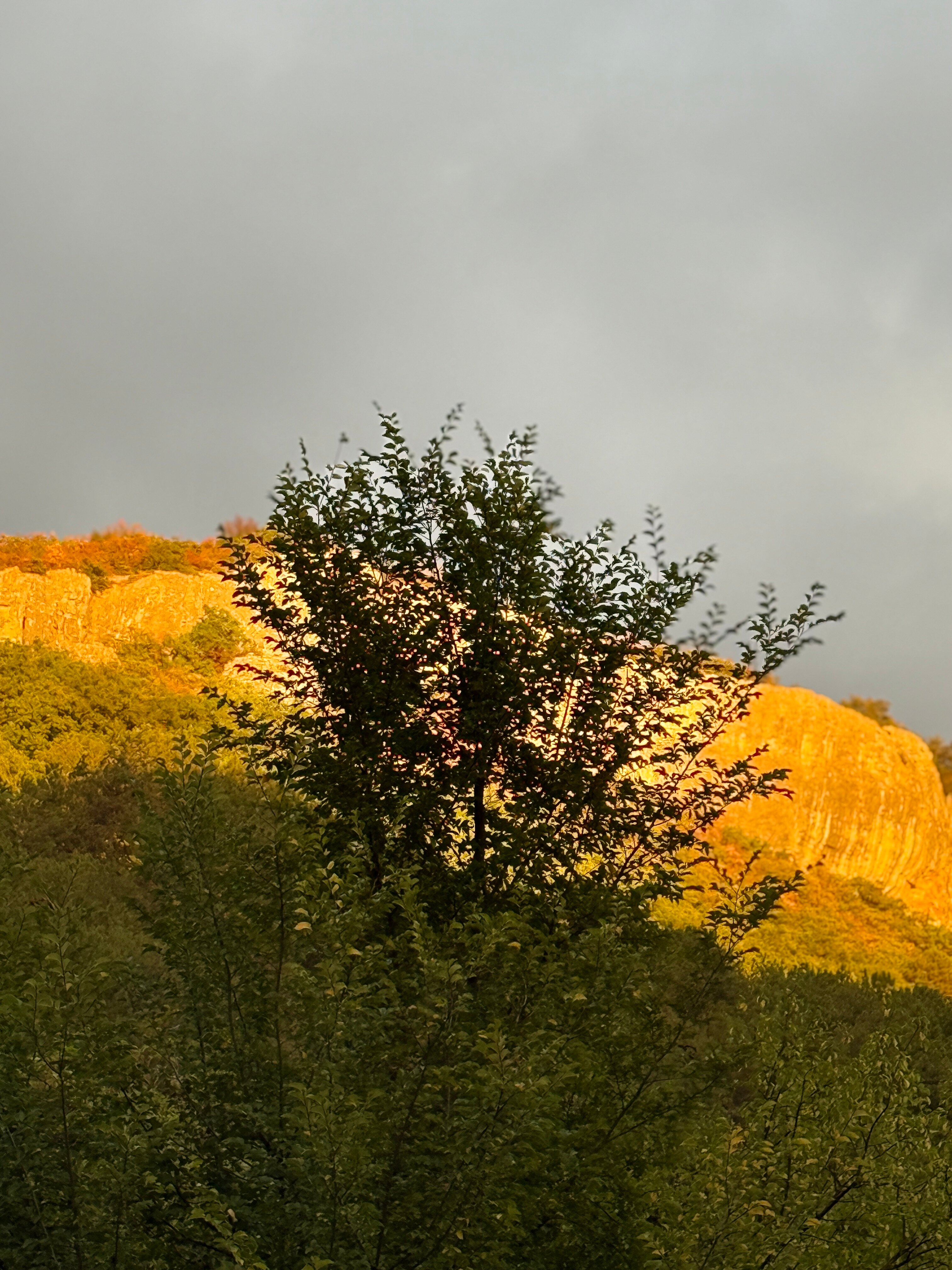 Фото Созвездие Мангуп