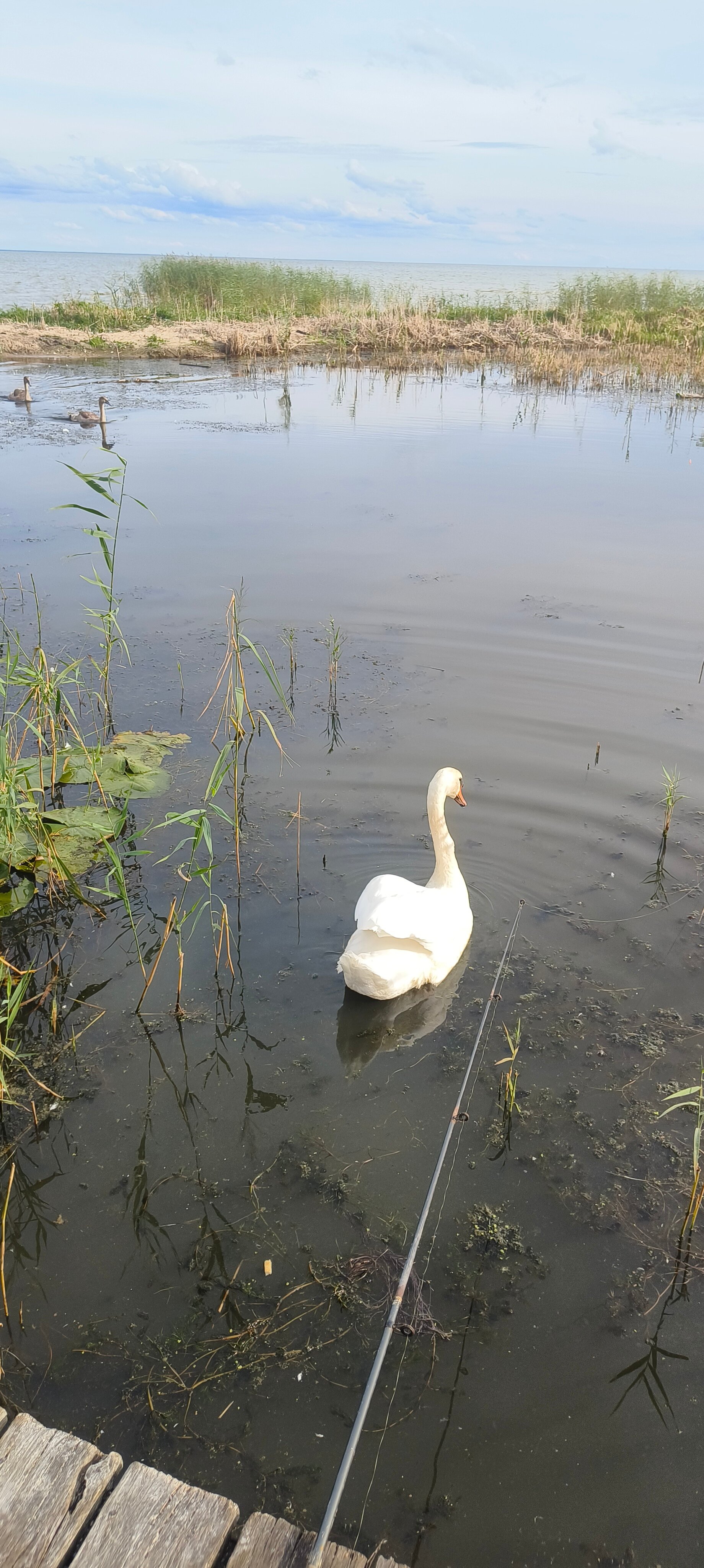 Фото Морское