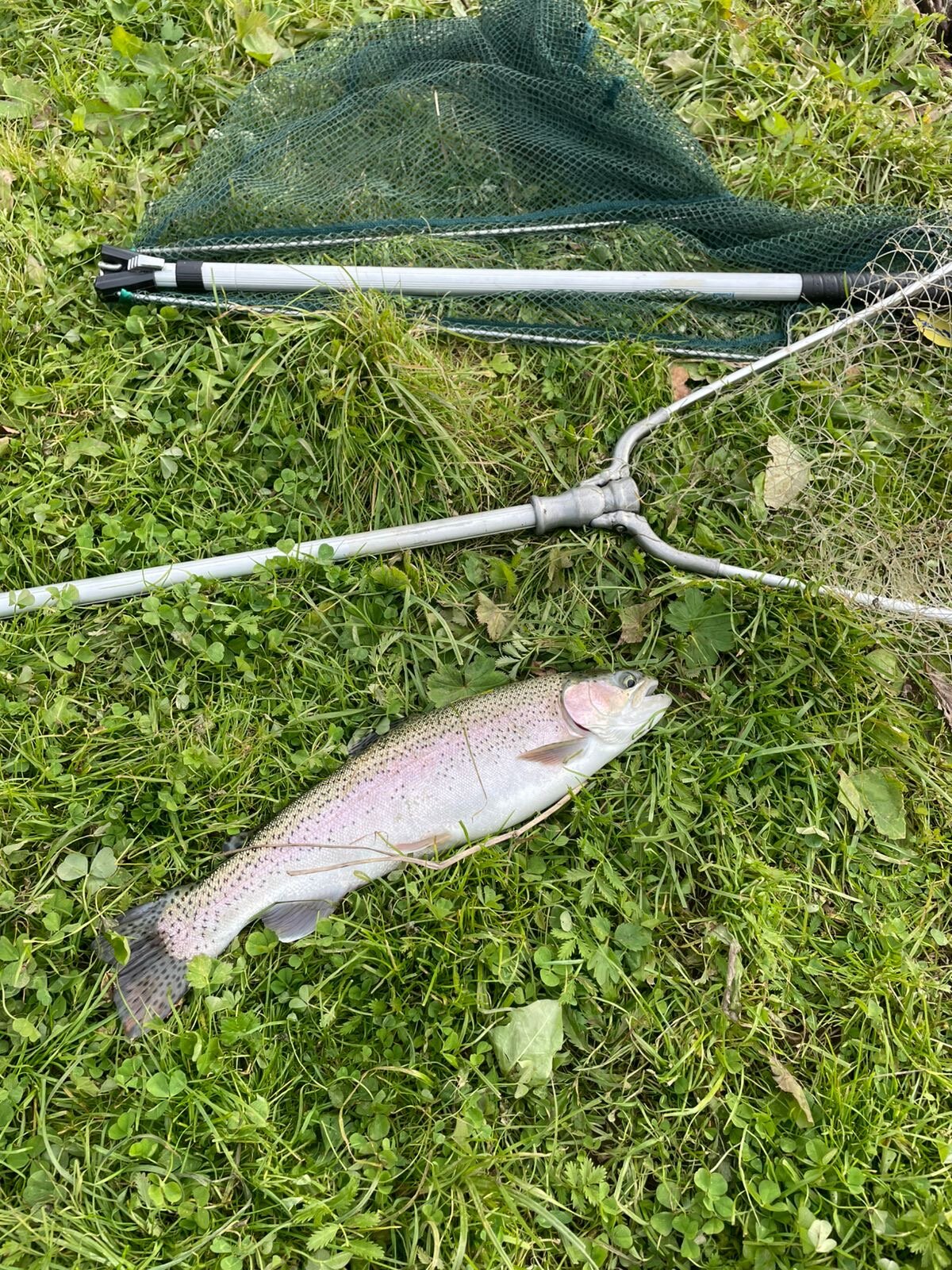 Фото Кузьмадино