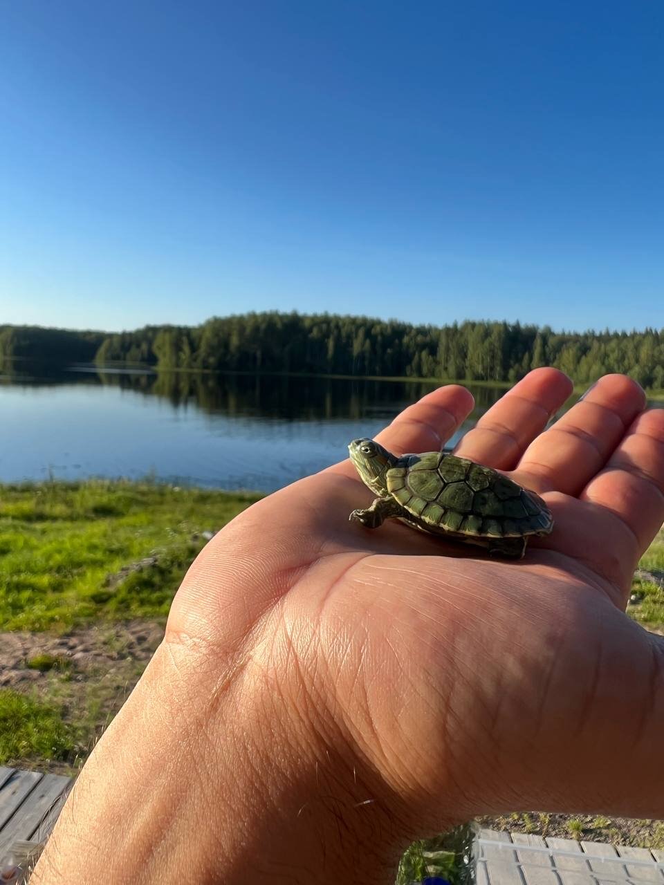 Фото Ламба-Сяндеба