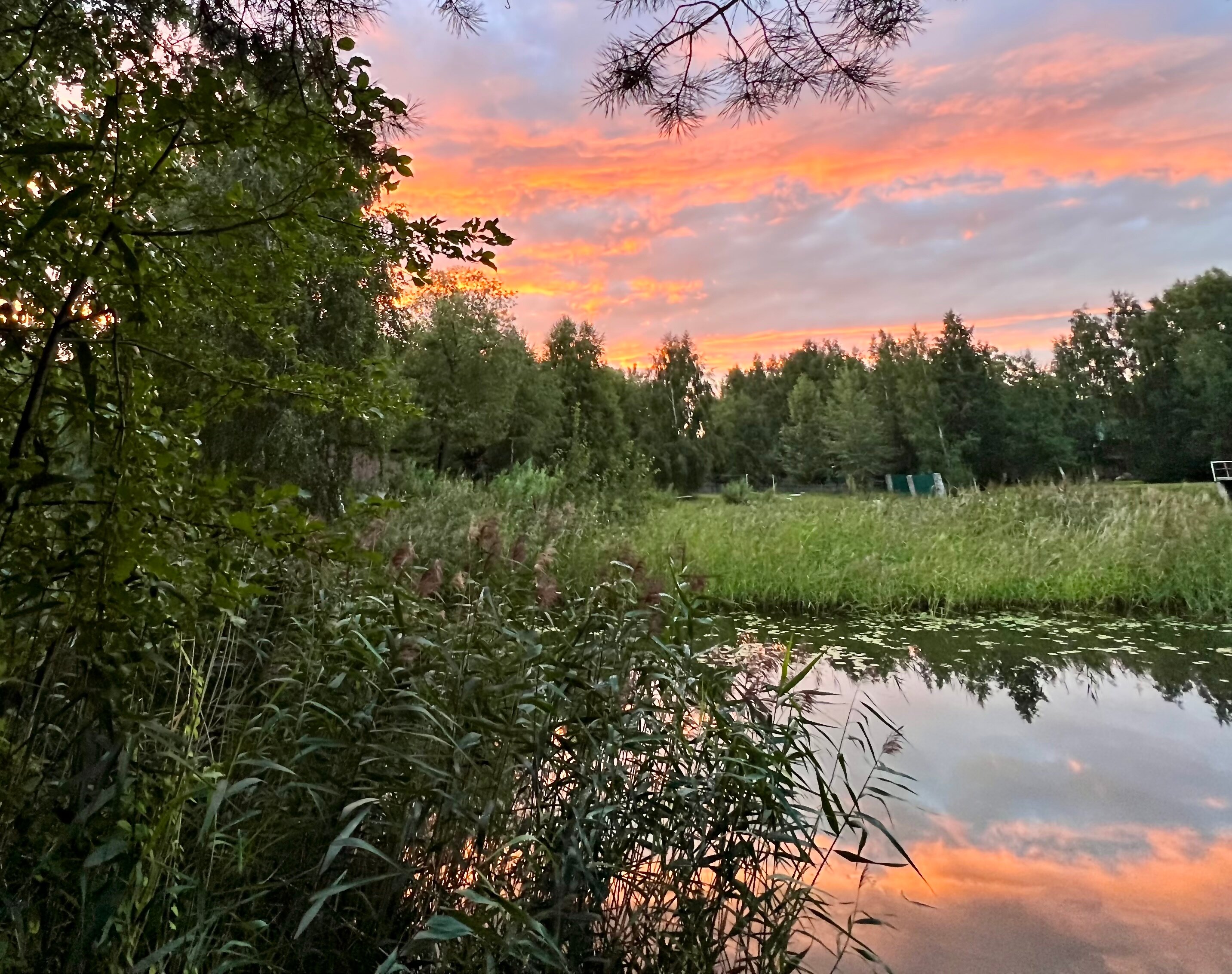 Фото Теремки