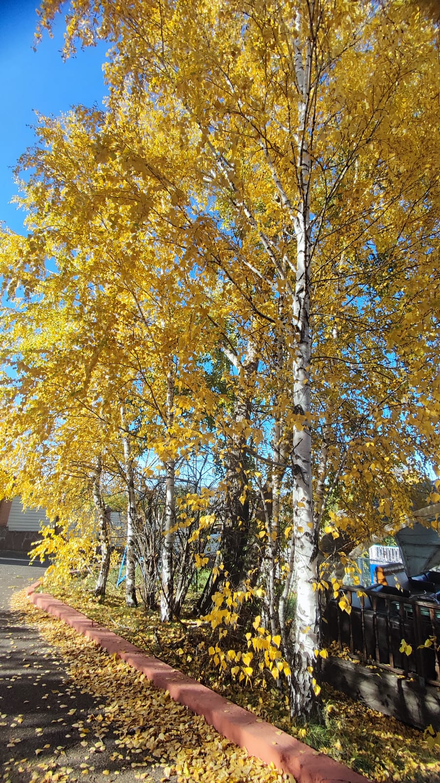 Фото Снежная долина