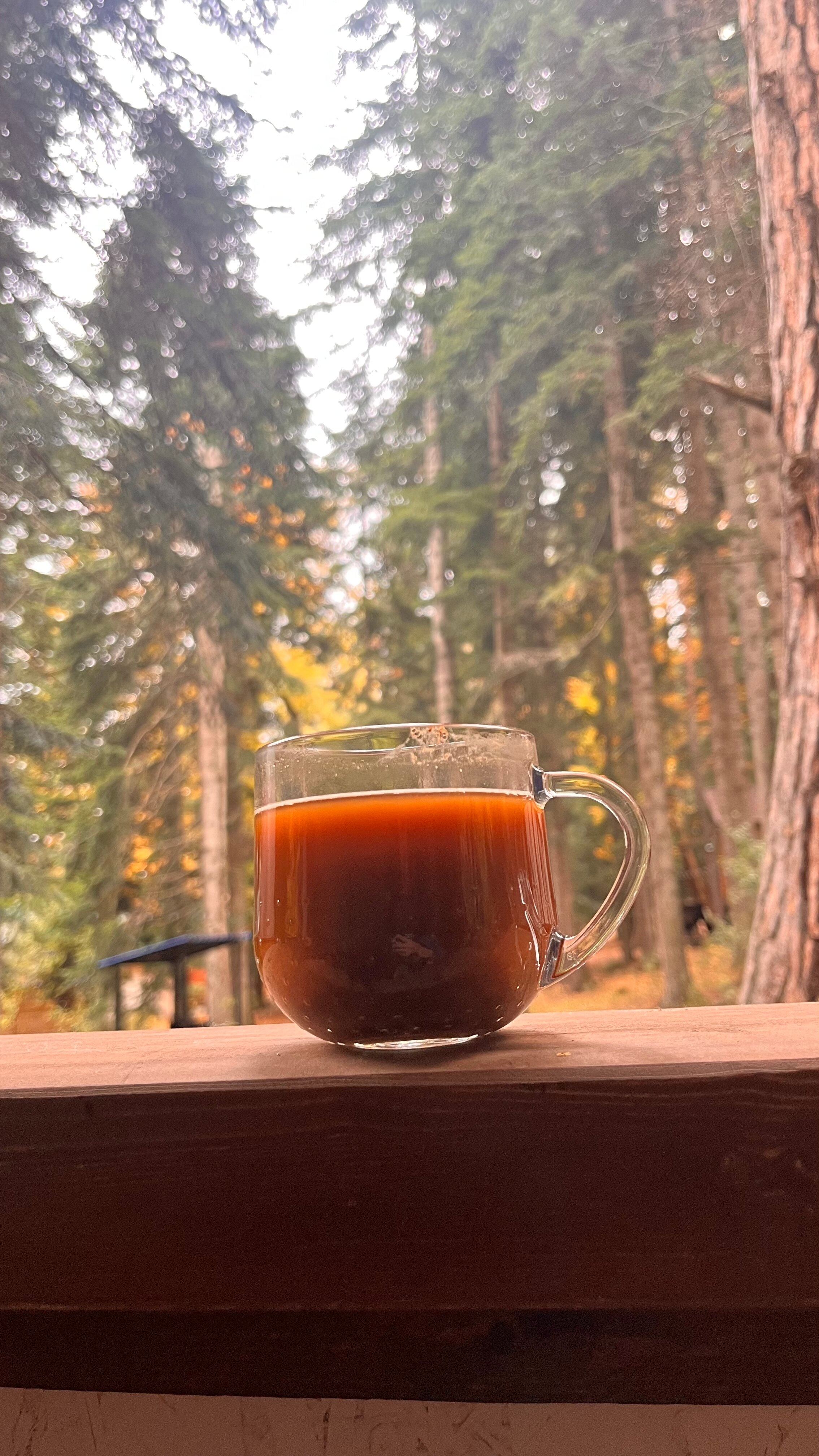 Фото Атмосфера Архыз