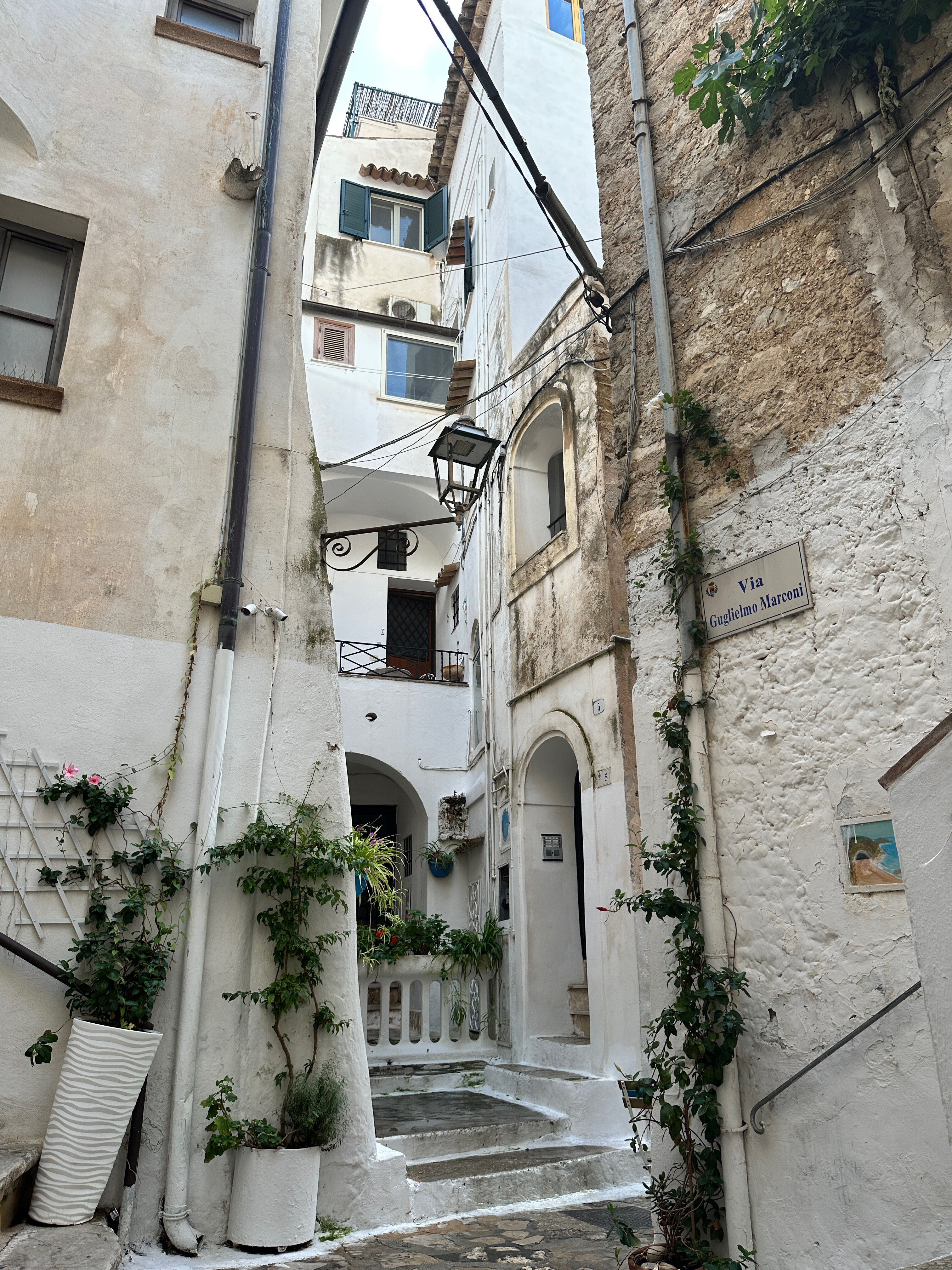 Фото Elaia Garden Hotel