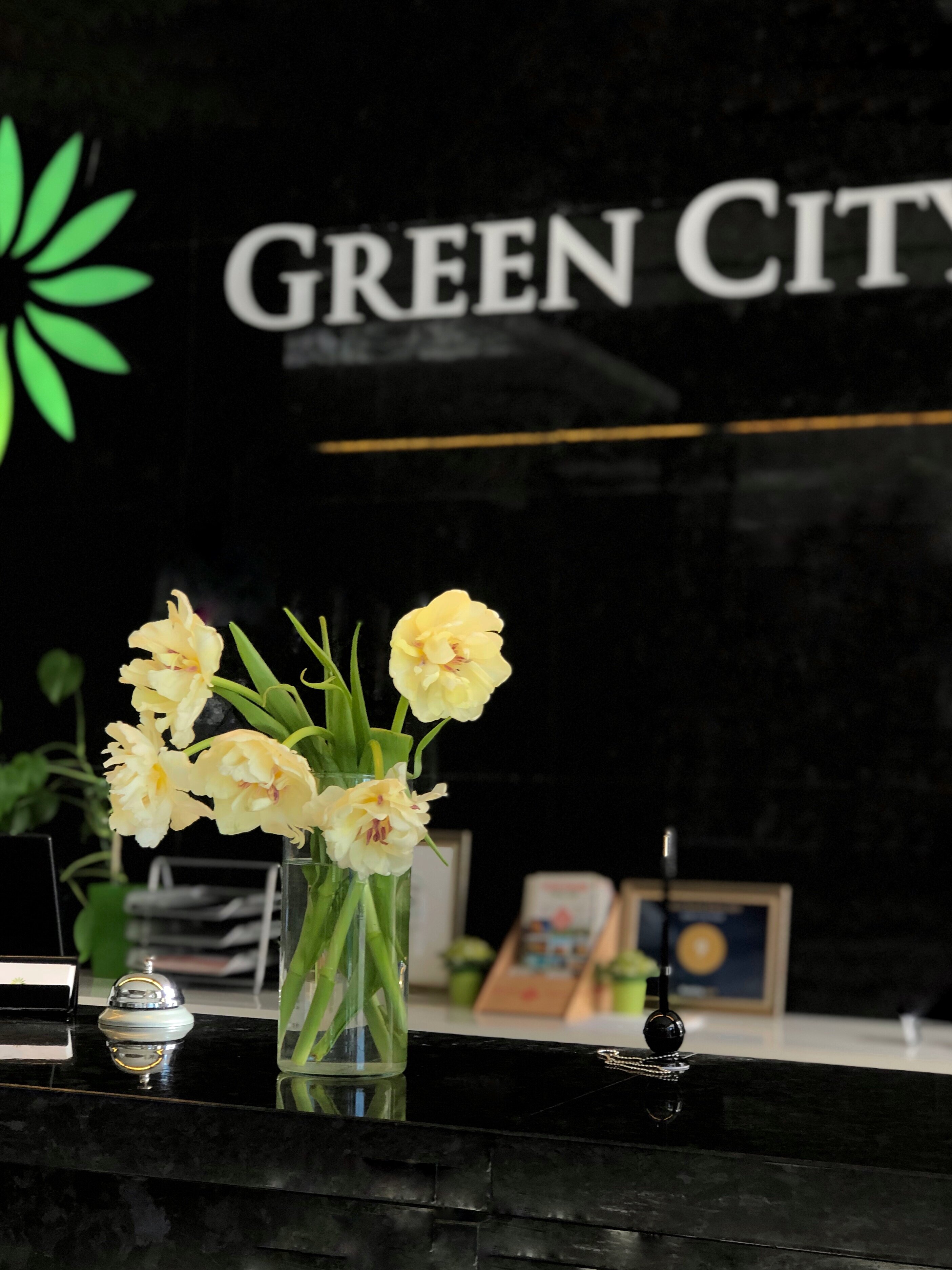 Фото Green City Hotel