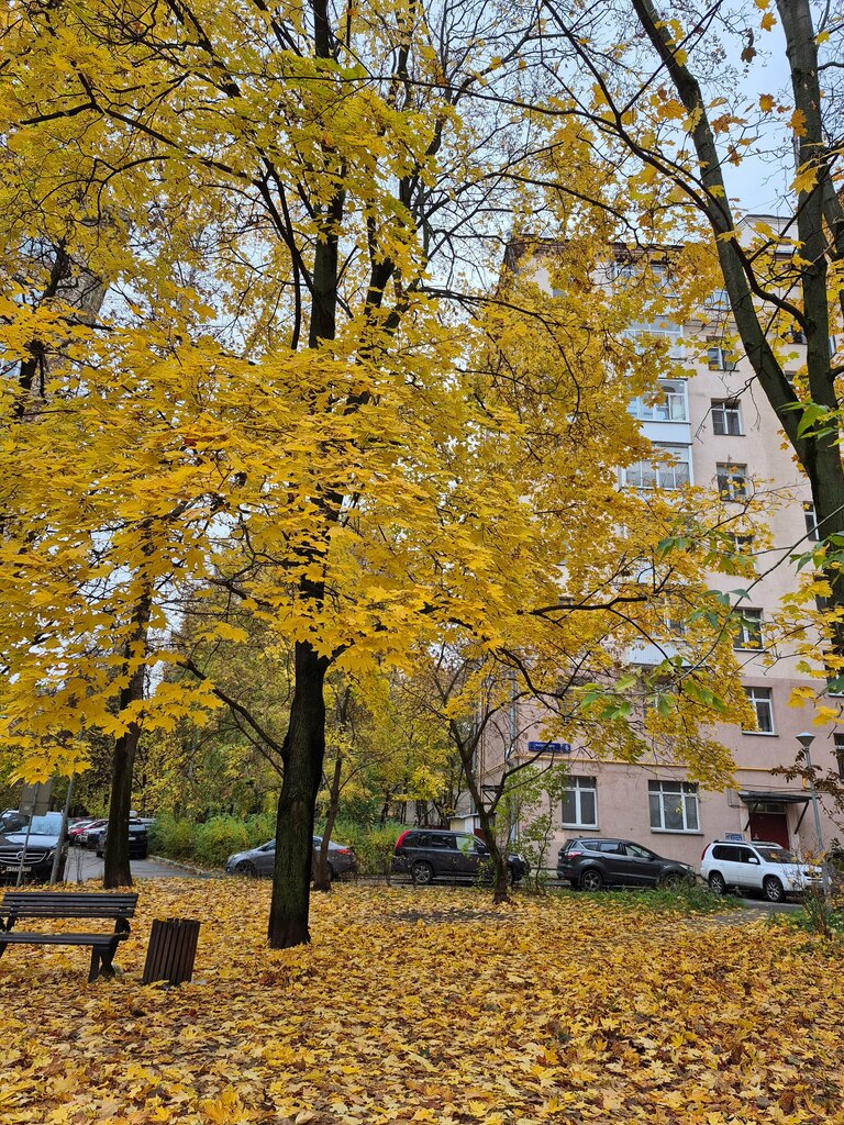 Trash and garbage disposal area Trash and garbage disposal area, Moscow, photo