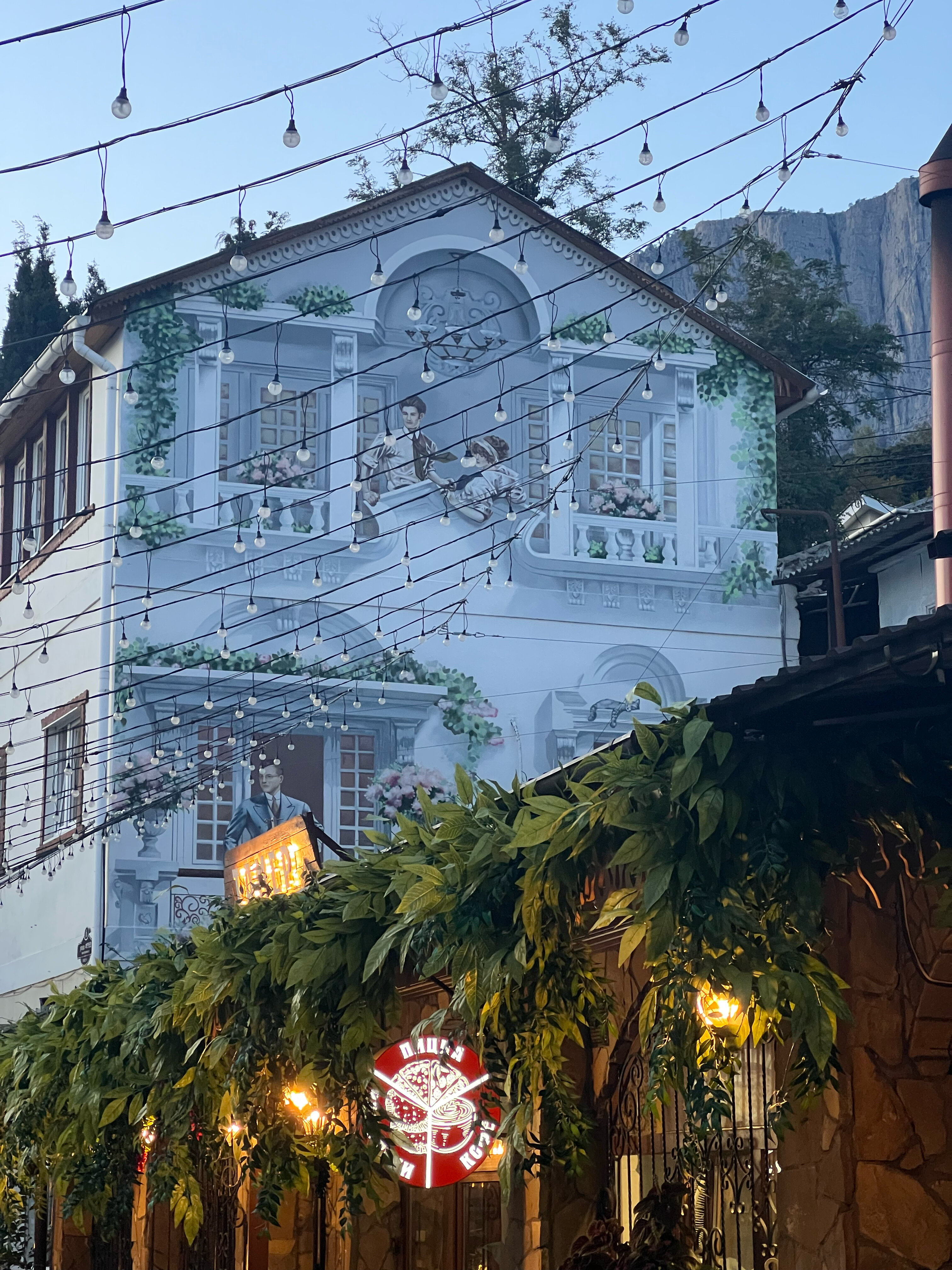 Фото Южный Кедр