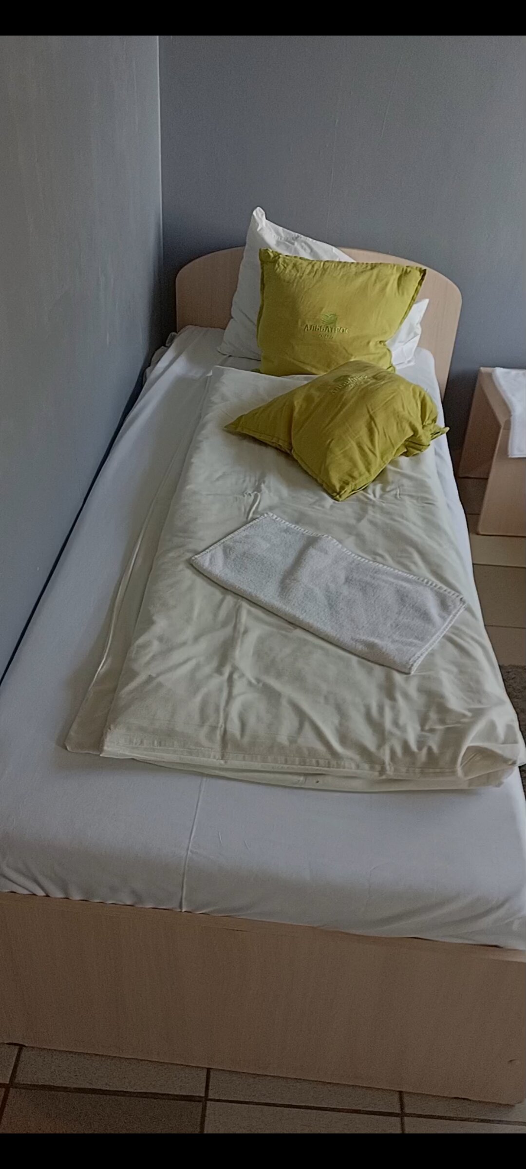 Фото Альбатрос