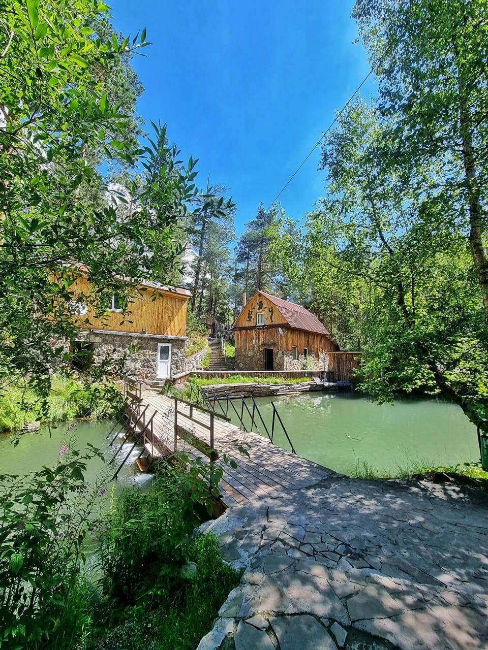 Фото Крокус