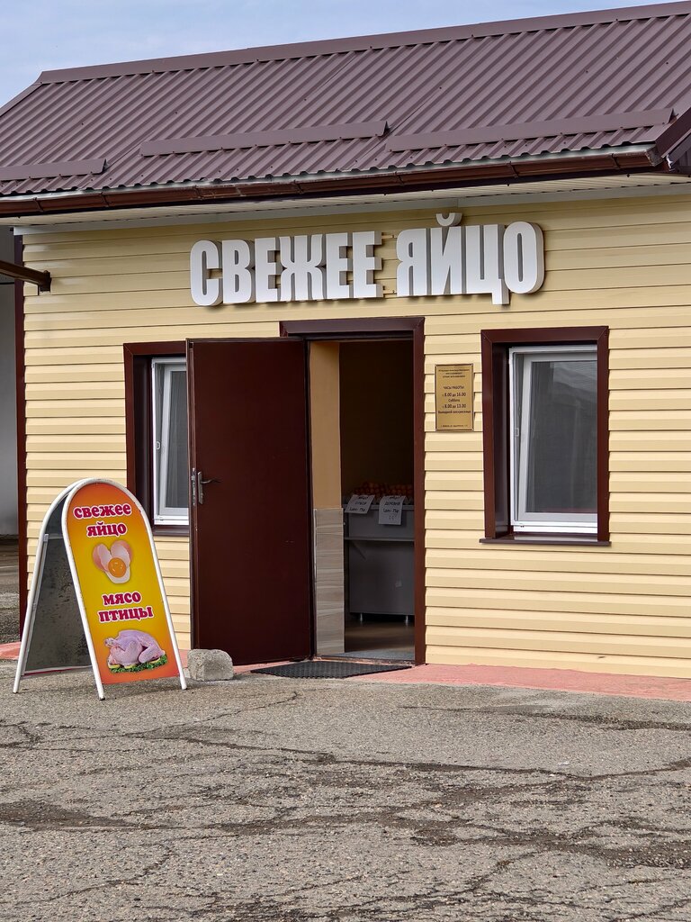 Egg and poultry meat Свежее яйцо, Maykop, photo