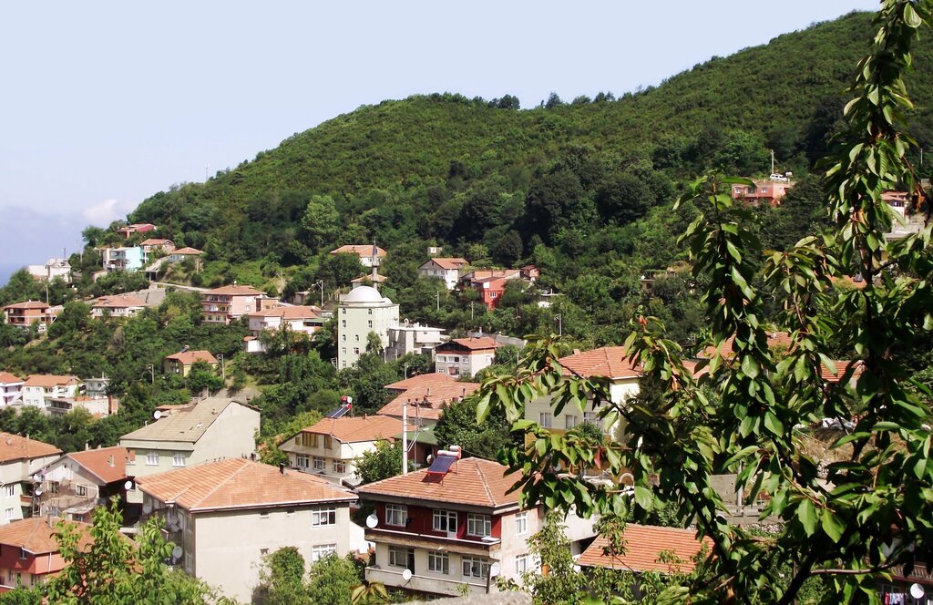 Mosque Radaralti Mosque, Kilimli, photo
