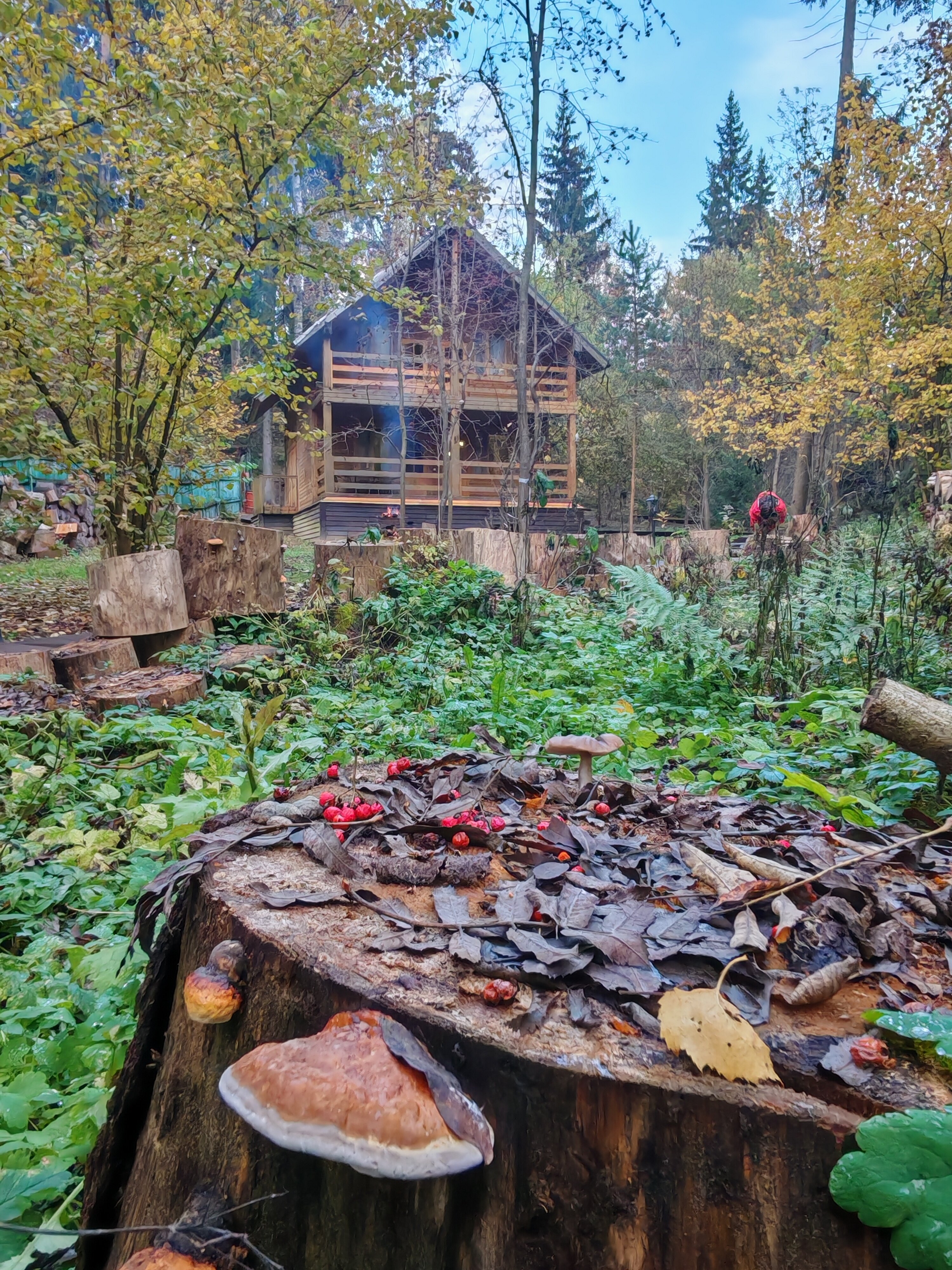 Фото Лада hotel