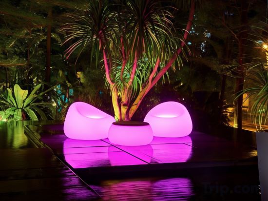 Фото Quincy Hotel Singapore