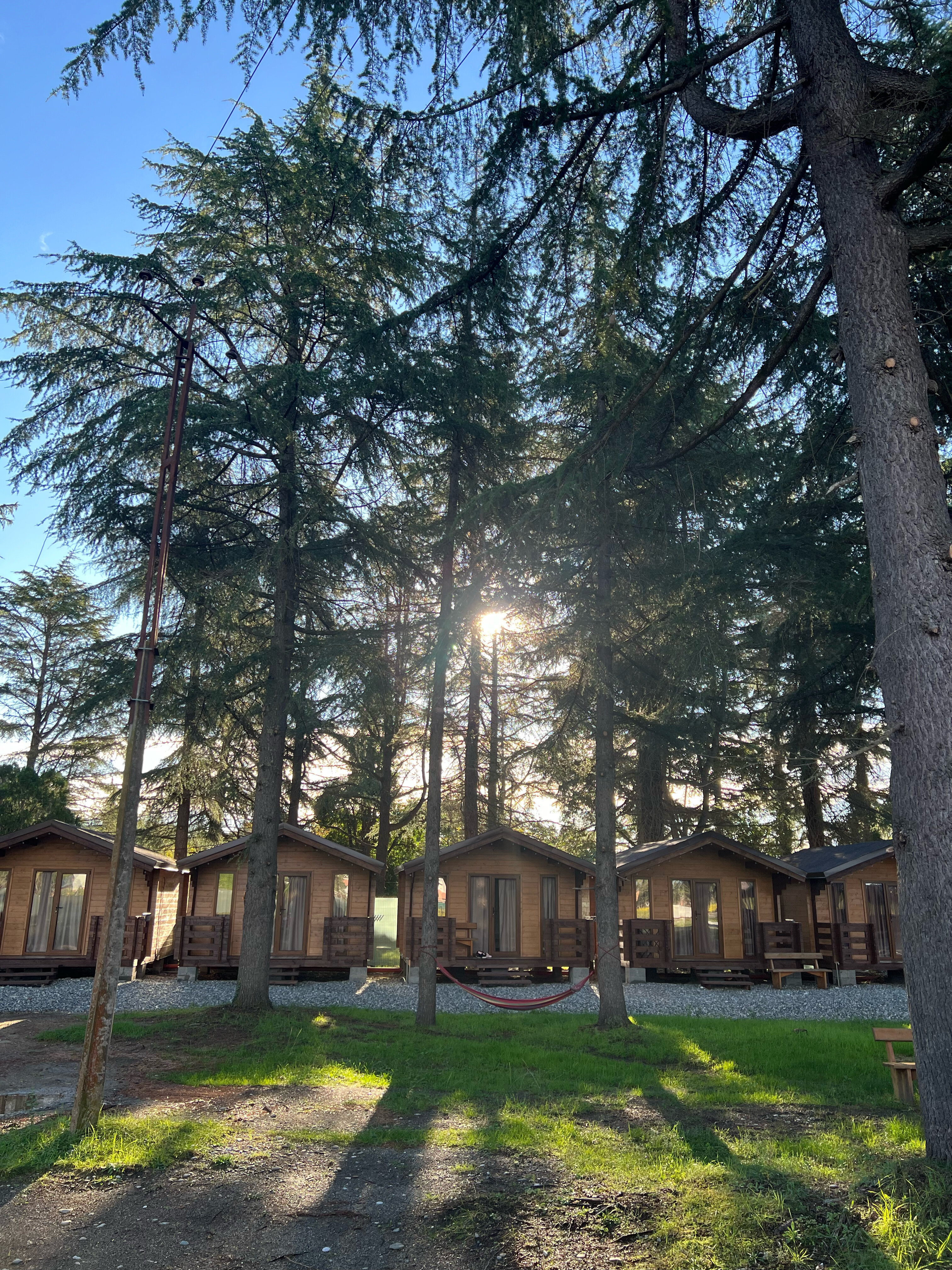 Фото Эко-отель Кедровый