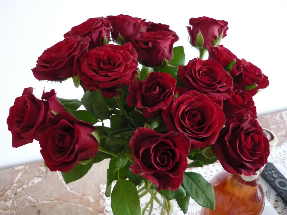 Фото Hotel Villa Victorine