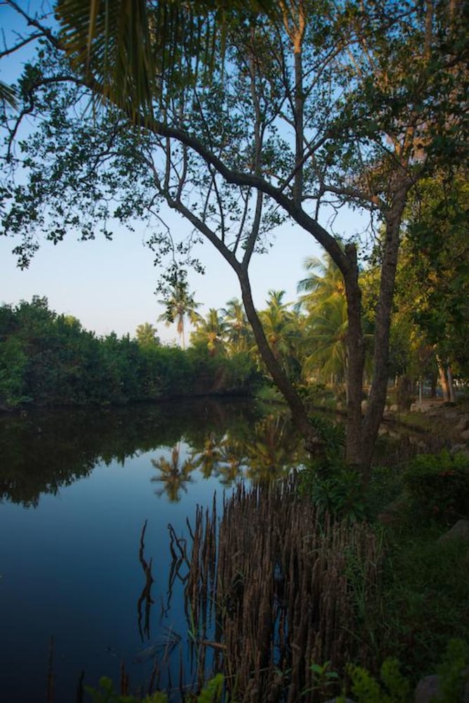 Фото The Gateway Hotel Airport Garden