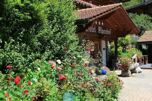 Гостиница Hotel Alpenhof в Гриндельвальде