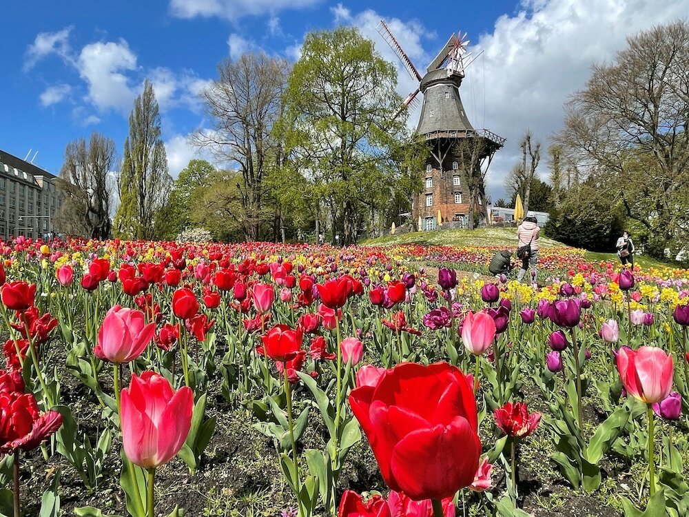 Фото Radisson Blu Hotel Bremen