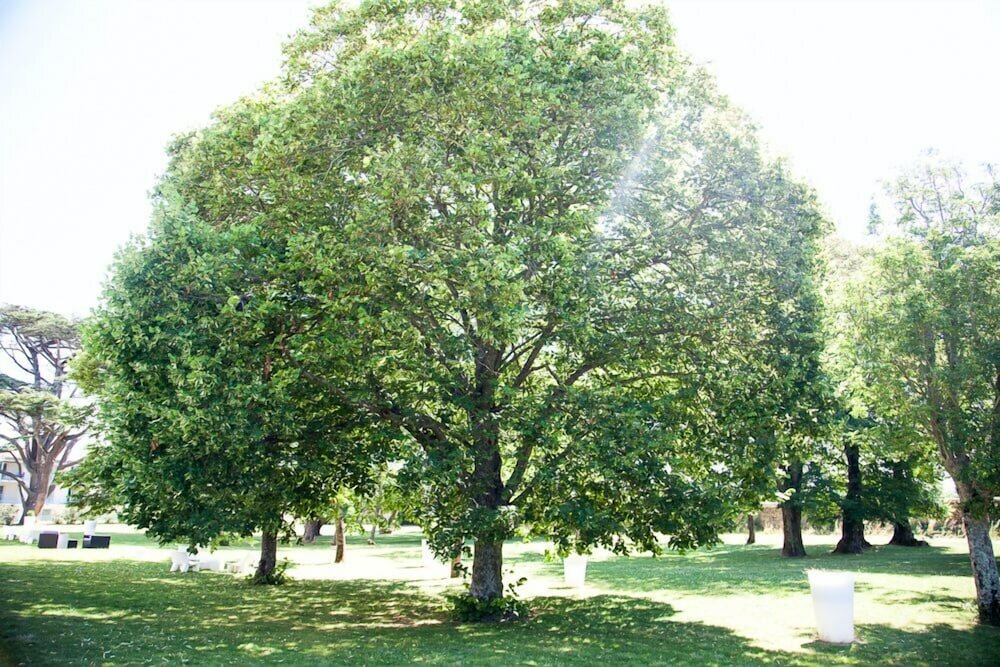 Фото Hôtel & SPA du Château