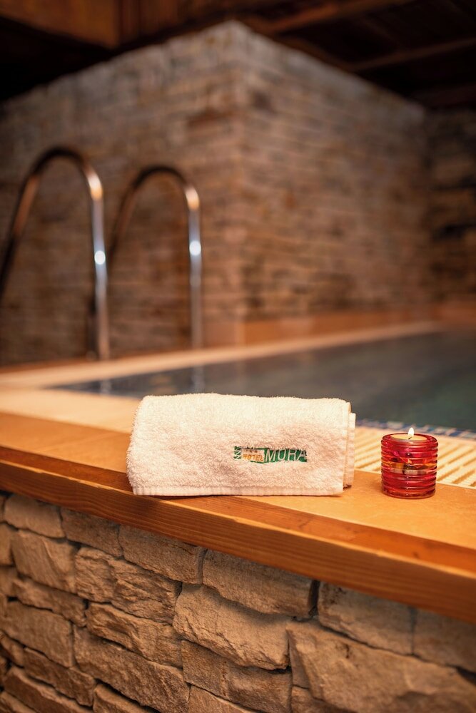 Фото Hotel Mura