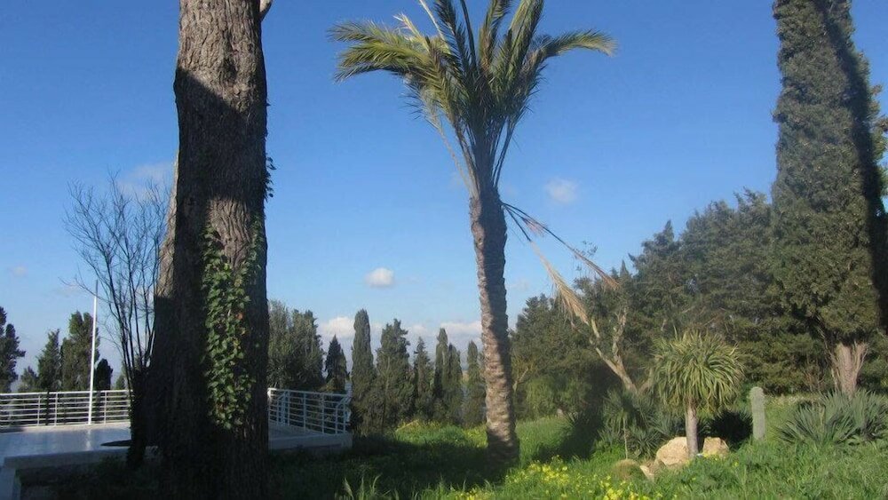 Фото Agriturismo Campo Allegro