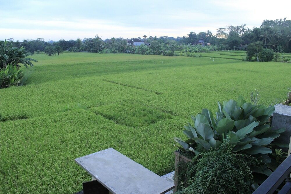 Фото Uma Padi Villa