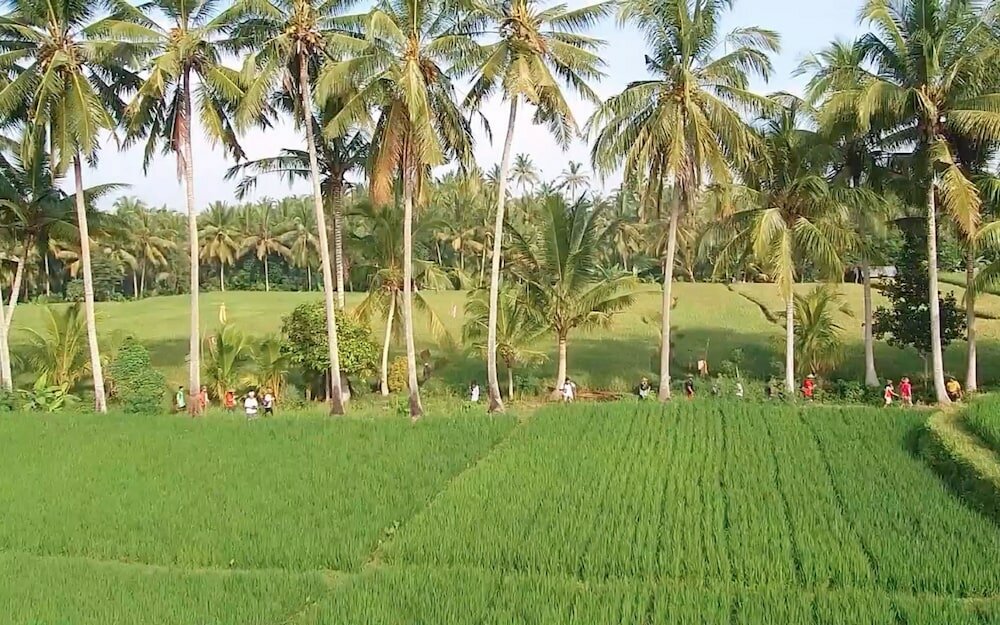 Фото Visesa Ubud Resort
