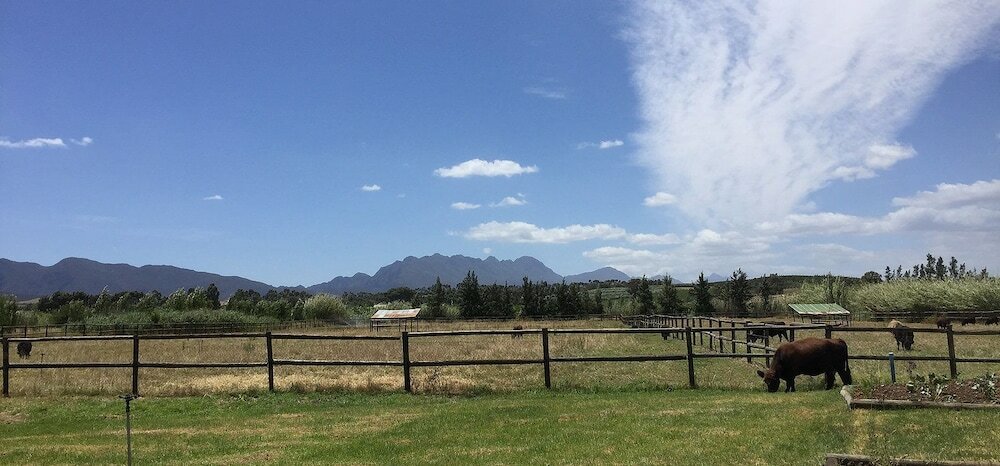 Фото Galloway Guest House