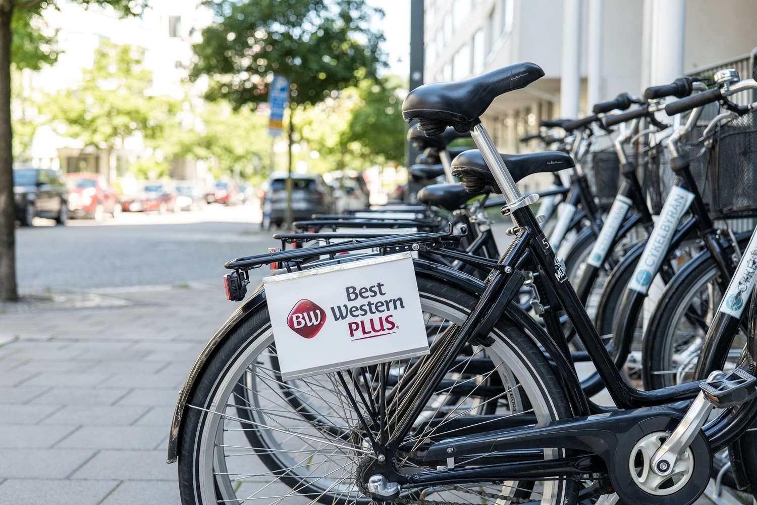 Фото 32783866577