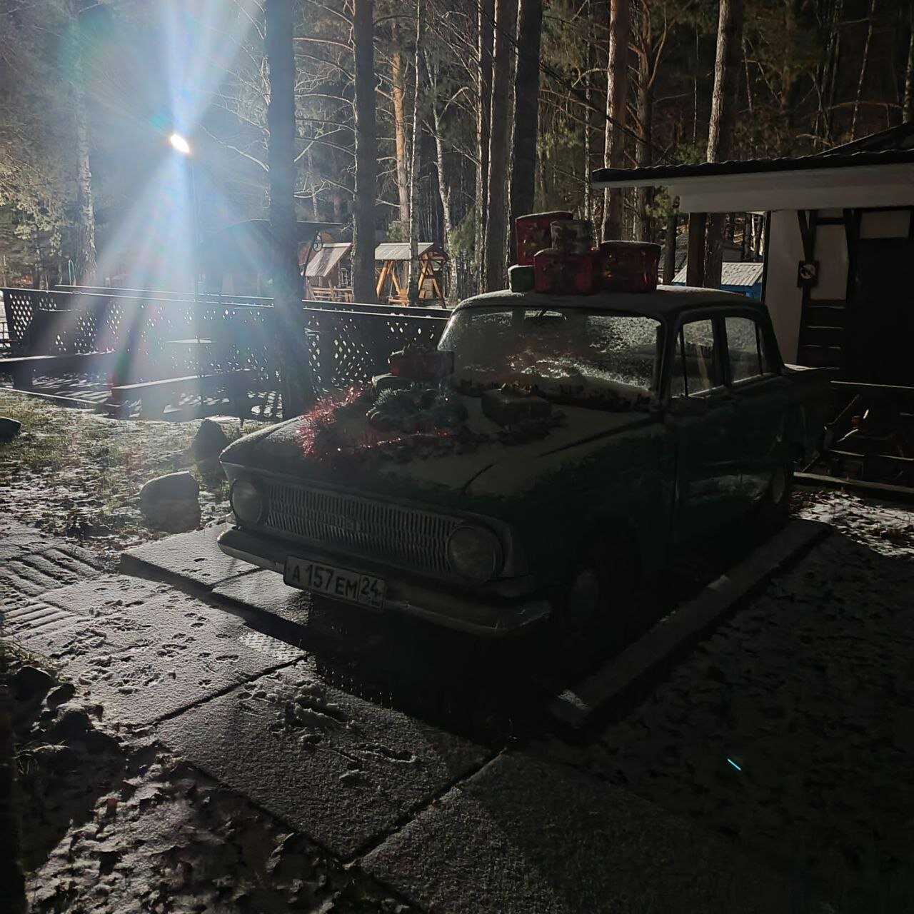 Фото Белая сова