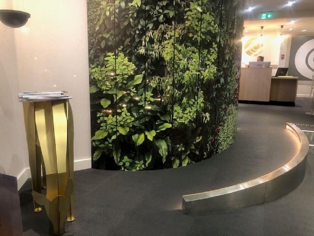 Фото 222771974902