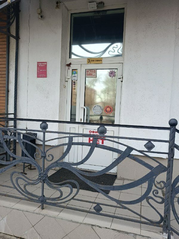 Фото Арлекино