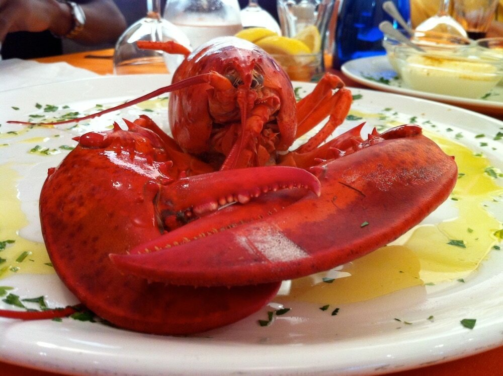 Фото Hotel Stella Maris