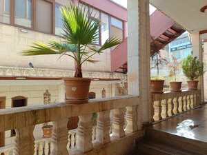 Zininur Boutique Hotel (Şanlıurfa, Eyyübiye, Camikebir Mah., 1348. Sok., 8B), hotel