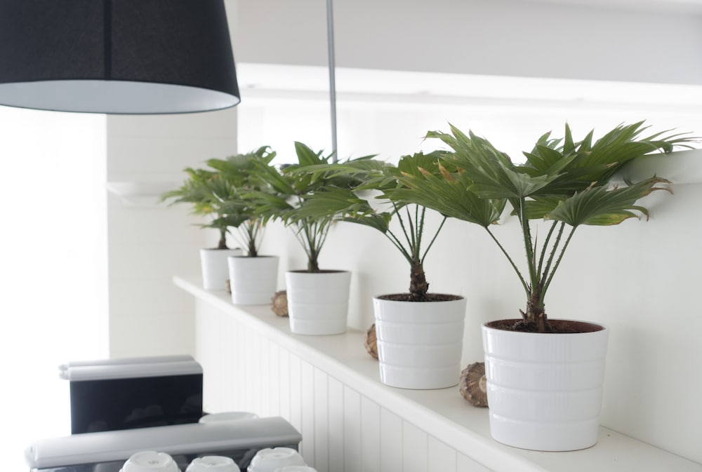 Фото Hotel Atlantic Riviera