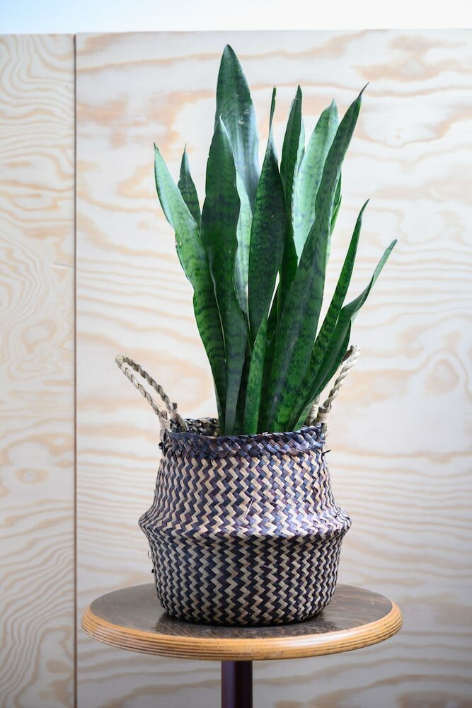 Фото Hotel La Grande Cloche