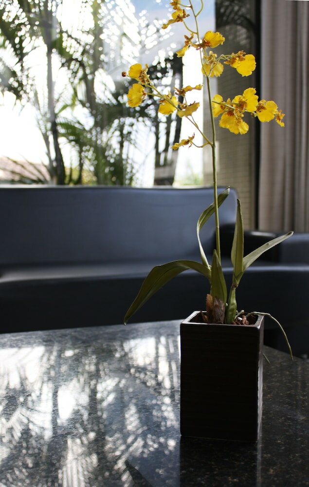 Фото Pisa Plaza Hotel