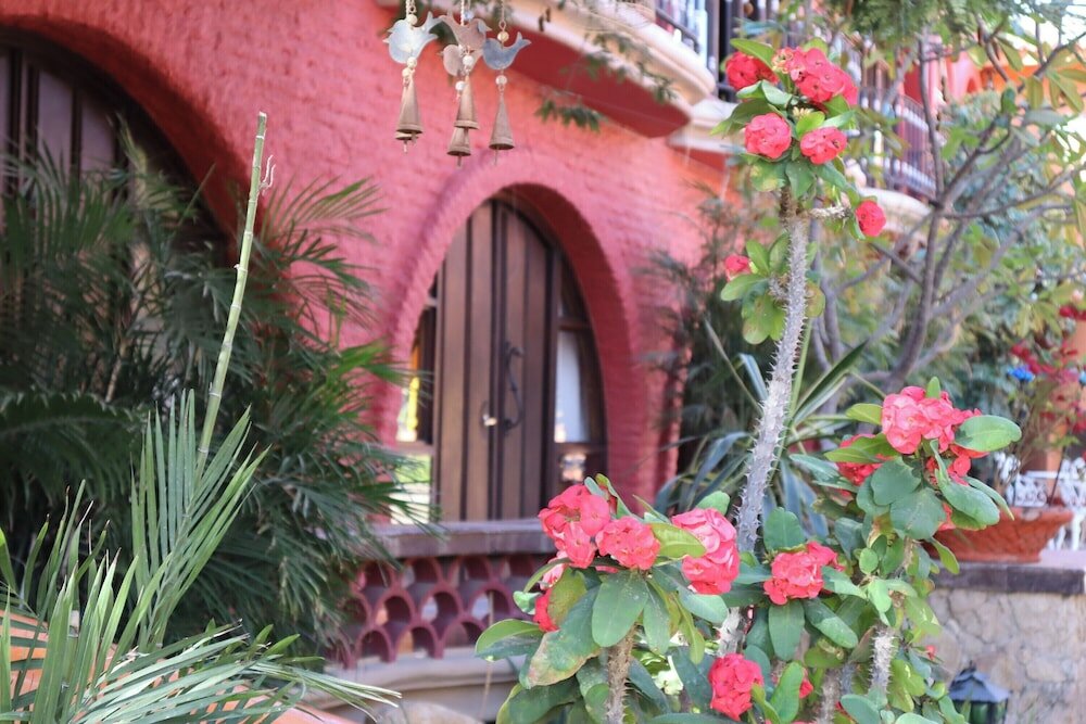 Фото Collection O Casa Bella Hotel Boutique, Cabo San Lucas