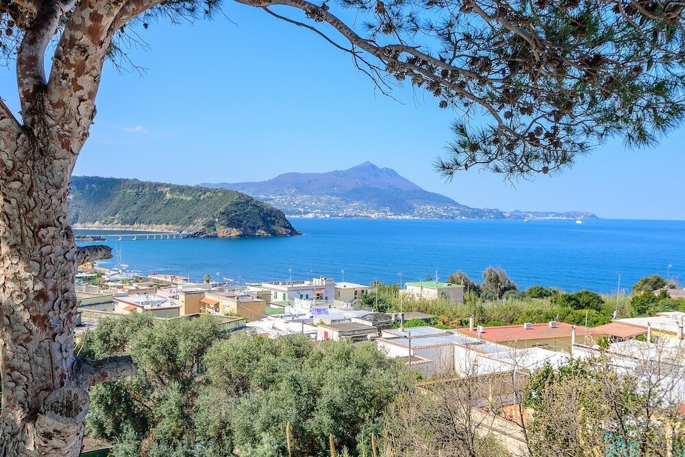 Фото Hotel Riviera