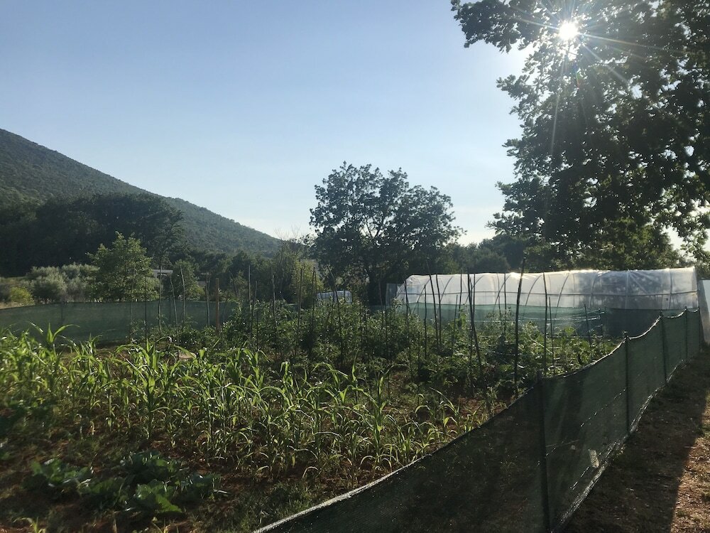 Фото Villa Flowers