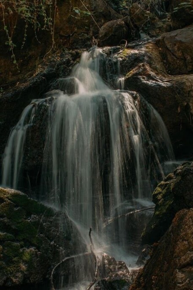 Фото Northern Queen Inn